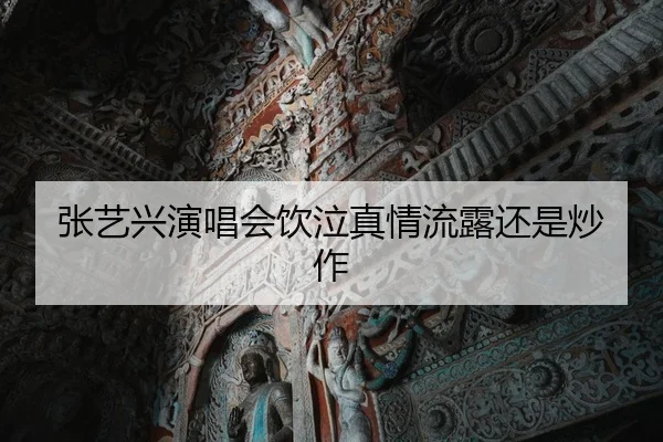 zhang-yi-xing-yan-chang-hui-yin-qi-zhen-qing-liu-lu-hai-shi-chao-zuo-1-414.jpg
